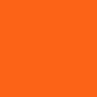 Department of Corrections (Back Only - Orange Only) Design