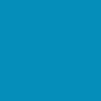 JESUS Optical Illusion (Customisable Text) Design
