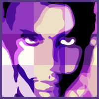 PRINCE (Any Colour - Resizable) Design