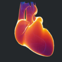 Heart Glow (Any Colour) Design