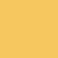 CAUTION Raygun 2 (Yellow Only) Design