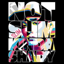 NOT SLIM KINDA SHADY 2 Design