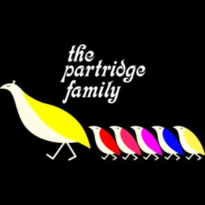 partridge family Thumbnail