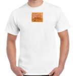 Gildan Adult Cotton Tee  Thumbnail