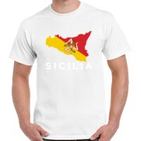 Gildan Adult Cotton Tee  Thumbnail
