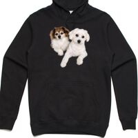 AS Colour Adult Stencil Hoodie Thumbnail