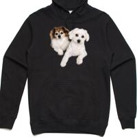 AS Colour Adult Stencil Hoodie Thumbnail