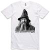 AS Colour Adult Staple Tee  Thumbnail
