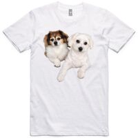 AS Colour Adult Staple Tee  Thumbnail