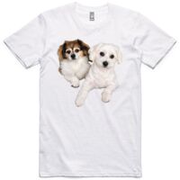 AS Colour Adult Staple Tee  Thumbnail
