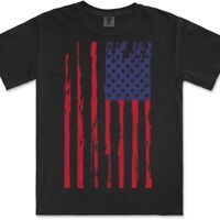 Gildan Adult Comfort Colours Tee Thumbnail