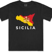 Gildan Adult Comfort Colours Tee Thumbnail