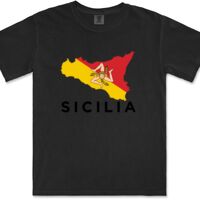 Gildan Adult Comfort Colours Tee Thumbnail