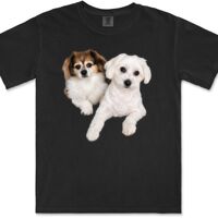 Gildan Adult Comfort Colours Tee Thumbnail